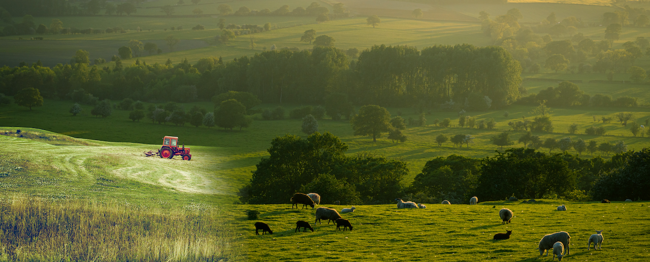 AGRICULTURE